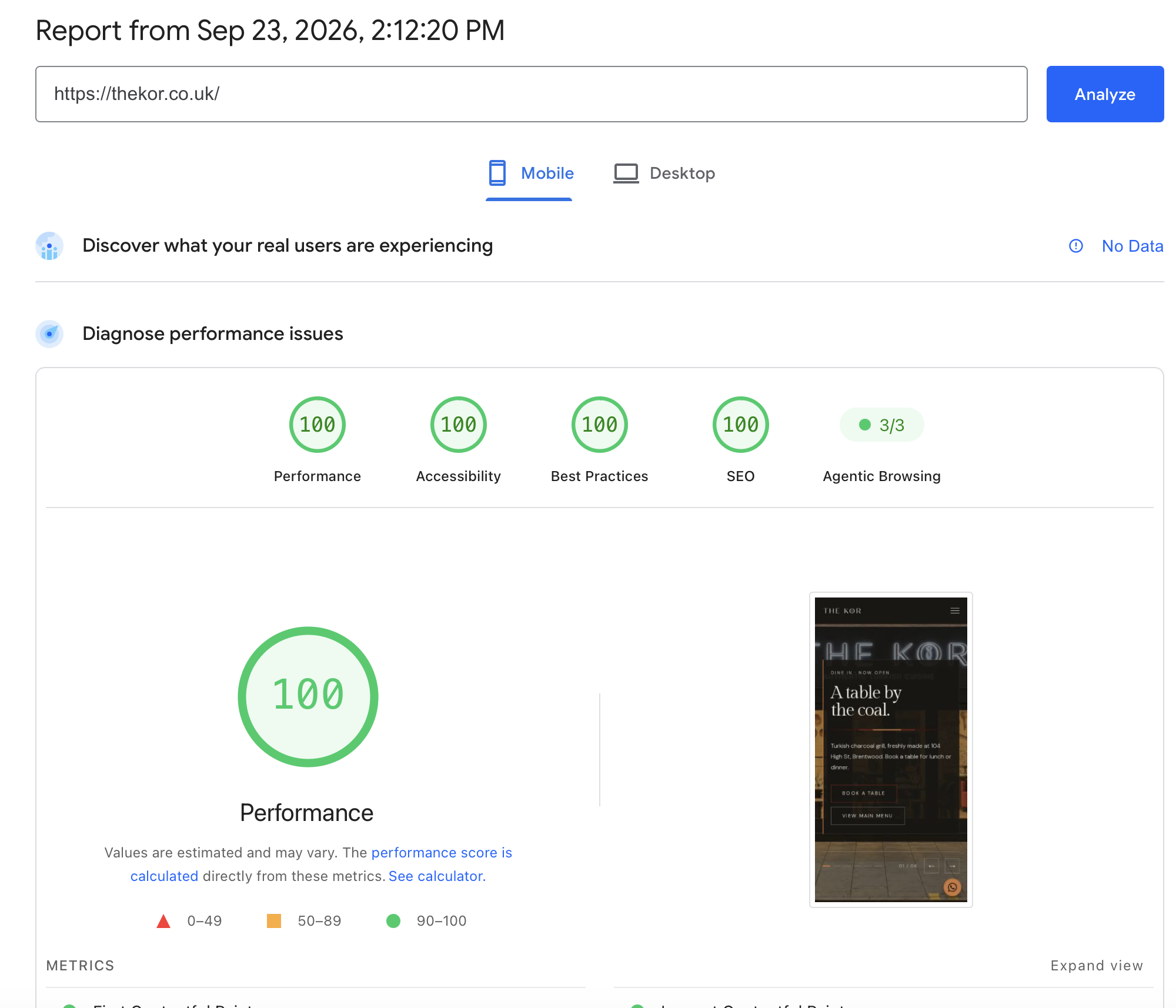 Google PageSpeed Insights mobile report for THE KOR showing 100 for Performance, Accessibility, Best Practices and SEO, plus 3 out of 3 Agentic Browsing checks